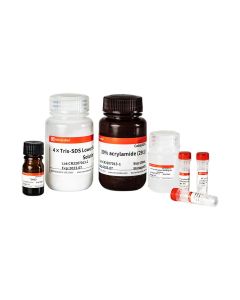 SDS-PAGE Fast Acrylamide Kit servicebio G2037-50T