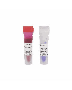 GN5K DNA Marker servicebio G3361-01