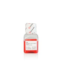 SWE Recombinant Trypsin-EDTA Solution with Phenol Red servicebio G4021-100ML
