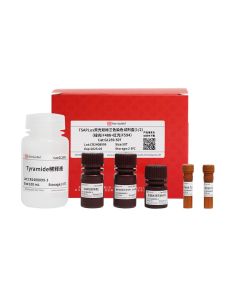 TSAPLus Fluorescence Double Staining Kit (Green iF488+ Red iF594） servicebio G1259-50T