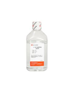 1 x TAE Electrophoresis Buffer (Ready-to-Use) servicebio G2151-1L