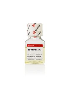 10× MOPS Buffer servicebio G3373-100ML