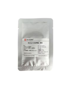 McCoy’s 5A (modified) medium, powder servicebio G4540P-1L