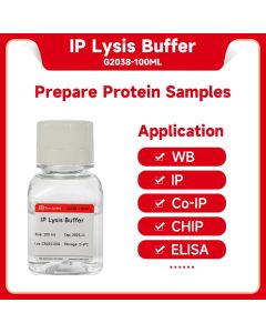 IP Lysis Buffer servicebio G2038-100ML