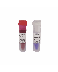 GN100bp DNA Ladder III servicebio G3367-01