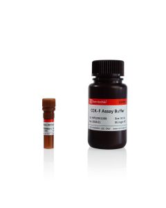 Calcein AM Cell Viability Assay Kit servicebio G1609-500T