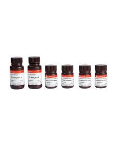 ECL Chemiluminescent Substrate Reagent Combo Pack servicebio G2161-200ML
