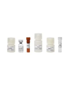 Glutathione Peroxidase (GSH-PX) Assay kit servicebio G4310-48T