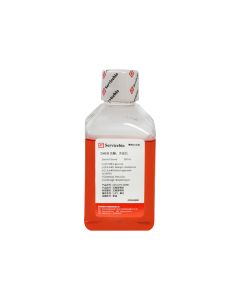 DMEM, High Glucose, Pen-Strep servicebio G4511PS-500ML