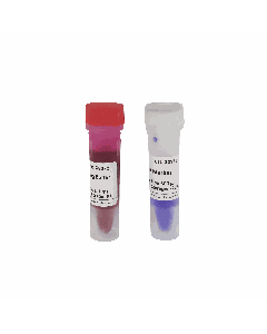 GN10K DNA Marker servicebio G3363-01