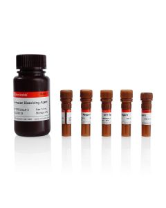 MTT Cell Proliferation and Cytotoxicity Assay Kit servicebio G4104-500T