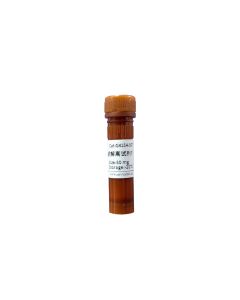 Rat and Mouse Tumor Tissue Single-cell Preparation Kit servicebio G4154-50T