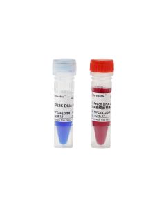 GN2K DNA Marker servicebio G3378-01