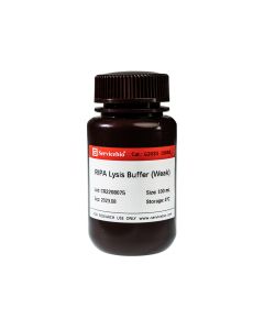 RIPA Lysis Buffer (Weak) servicebio G2033-100ML