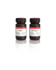 MTT Cell Viability Assay Kit servicebio G4101-1000T