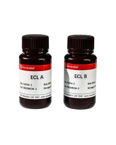 ECL Chemiluminescence Kit (NG) servicebio G2014-100ML