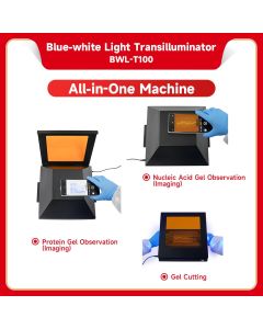 Blue-white Light Transilluminator servicebio BWL-T100