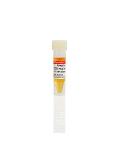 Amphotericin B (2.5 mg/mL in DMSO) servicebio G4023-1ML