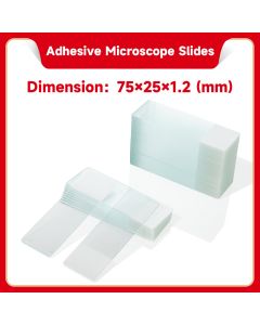 Adhesive Slides (Paraffin Sections) servicebio G6012-1