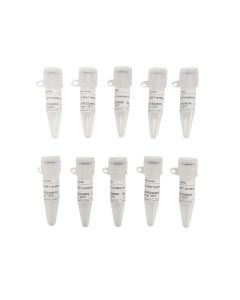 PEI 40K Transfection Reagent servicebio G1802-10ML