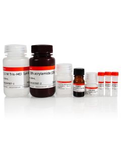 SDS-PAGE Gel Preparation Kit servicebio G2003-50T