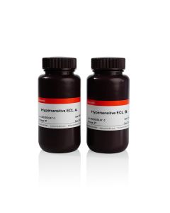 Hypersensitive ECL Chemiluminescence Kit（Femtogram） servicebio G2020-500ML