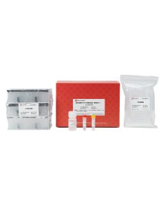 MagBind Virus DNA/RNA Extraction Kit (Prepackaged 48T) servicebio G3696-48T