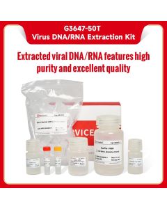 Virus DNA/RNA Extraction Kit servicebio G3647-50T