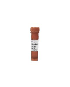 Rat and Mouse Small Intestine Tissue Single-cell Preparation Kit servicebio G4151-50T