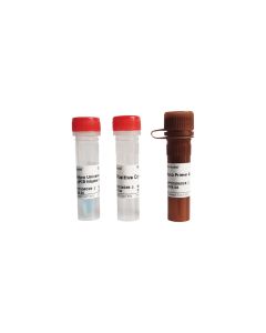 Mycoplasma Detection Kit (Probe qPCR) servicebio G1903-50