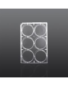 Cell Culture Plate (6-well, Pre-loaded Cell Culture Slides, Square 24*24 mm) servicebio CCP-6CH