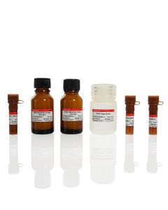 Malondialdehyde (MDA) Assay Kit(for Cell samples) servicebio G4300-96T