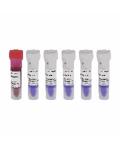 GN10K DNA Marker servicebio G3363-05