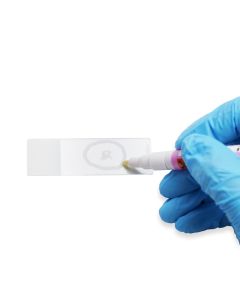 Liquid Blocker PAP Pen servicebio G6100