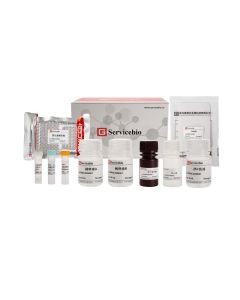 Mouse VEGF ELISA Kit servicebio GEM0022-48T