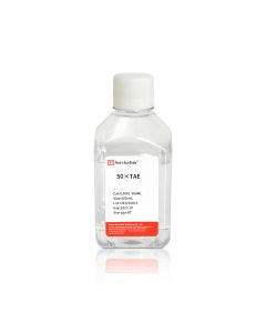 50×TAE Buffer servicebio G3001-500ML