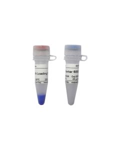 RNA Marker 6000 servicebio G3372-25UL