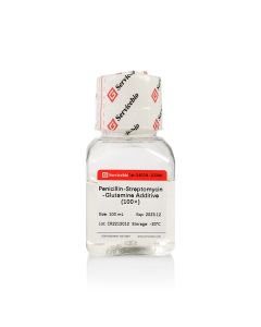 Penicillin-Streptomycin-Glutamine Additive (100×) servicebio G4016-100ML