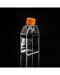 Cell Culture Flask-T25F (Vented, Non-TC Treated) servicebio CCF-25NF