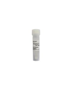 Puromycin Solution (10mg/mL) servicebio G4017-1ML