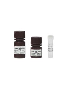 Nuclear and Cytoplasmic Protein Separation and Extraction Kit servicebio G3741-50T
