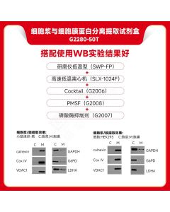 Cytoplasmic and Membrane Protein Separation and Extraction Kit servicebio G2280-50T