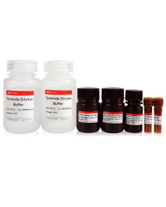 TSAPLus Fluorescence Double Staining Kit （Green IF488+ Red IF555） servicebio G1226-100T