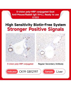 S-Vision Poly-HRP Conjugated Goat Anti-Rabbit and Mouse IgG (H+L), Ready to Use servicebio G1303-10ML