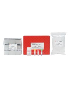 MagBind Cell Total RNA Extraction Kit (Prepackaged 48T) servicebio G3694-48T