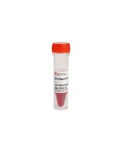 10×Peach DNA Loading Buffer servicebio G3375-1ML