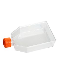 Cell Culture Flask-T75F (Vented, Non-TC Treated) servicebio CCF-75NF