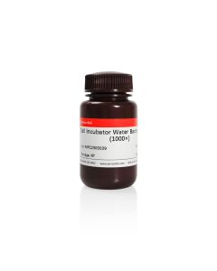 Cell Incubator Water Bacteriostatic (1000×) servicebio G4027-100ML