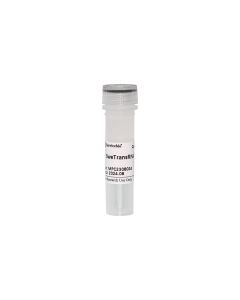 SweTransRNA Transfection Reagent servicebio G1806-0.5ML