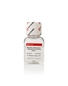 Penicillin-Streptomycin-Gentamicin Additive (100×) servicebio G4014-100ML